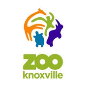 Knoxville summer camps